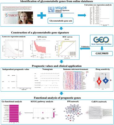 A glycometabolic gene signature associating with immune infiltration and chemosensitivity and predicting the prognosis of patients with osteosarcoma